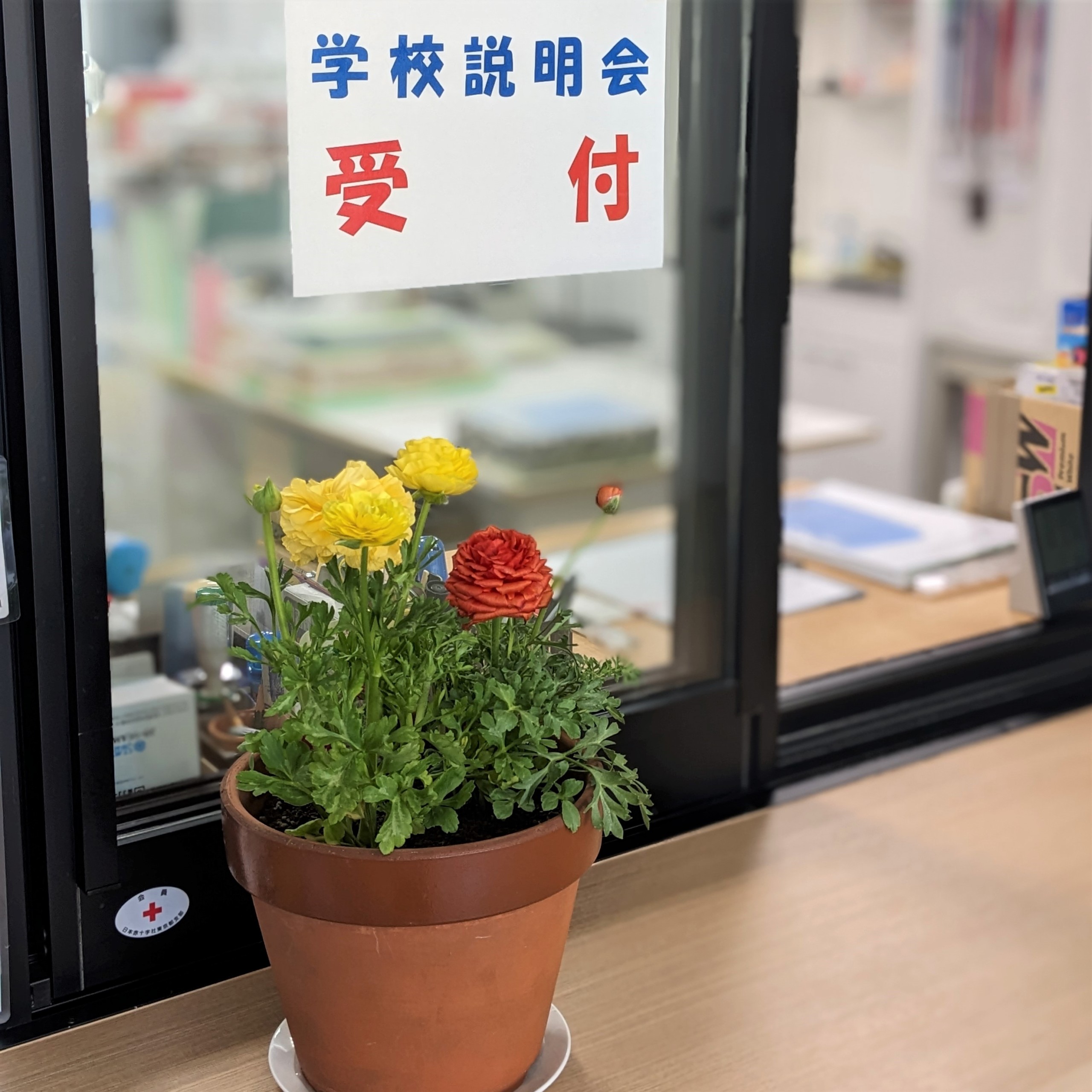 国際鍼灸専門学校