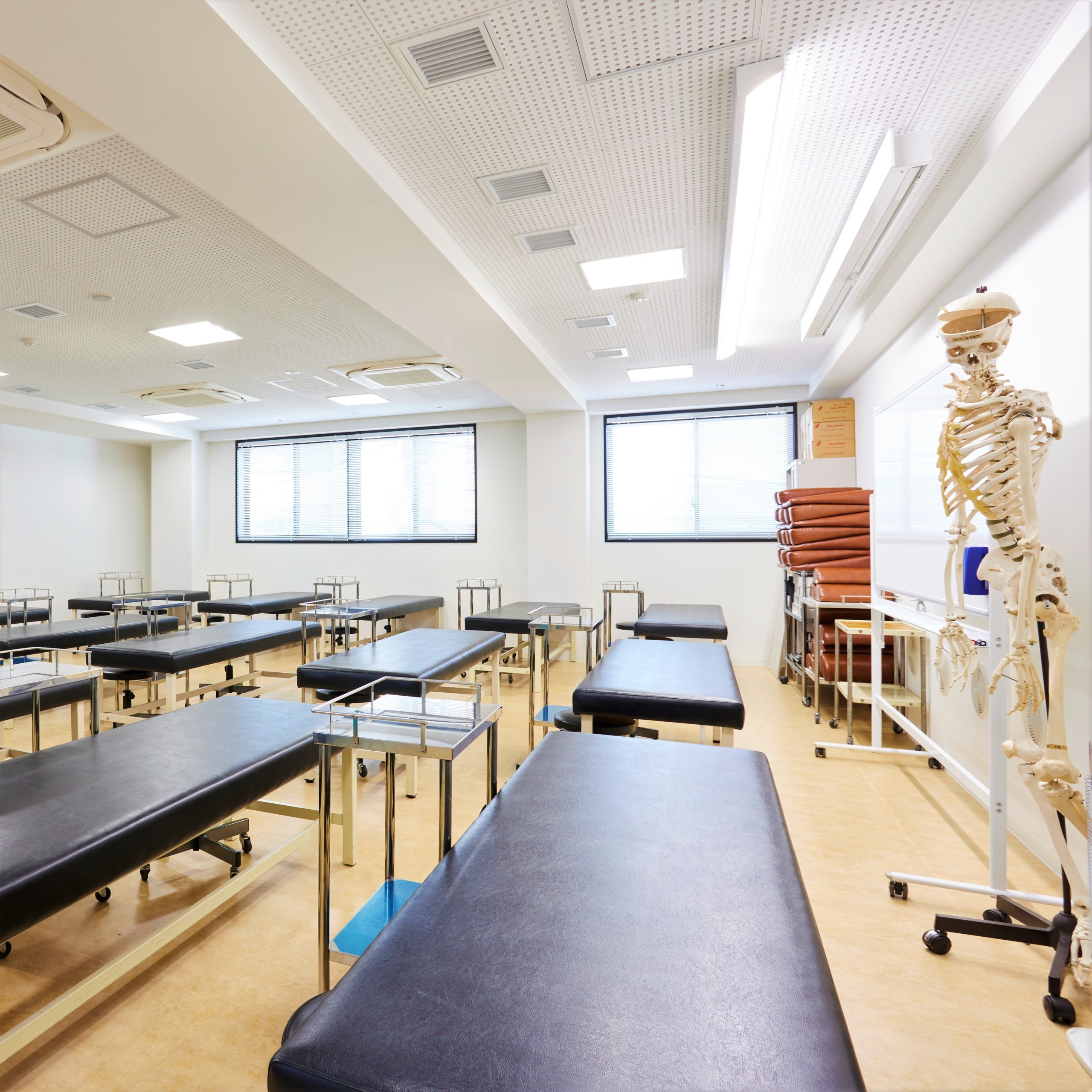 国際鍼灸専門学校